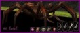 /album/pavouci-dungeon/kleine-giftspinne60-original-jpg/