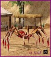 /album/pavouci-dungeon/rote-toed-giftspinne62-original-jpg/