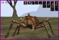 /album/pavouci-dungeon/soldatengiftspinne68-original-jpg/